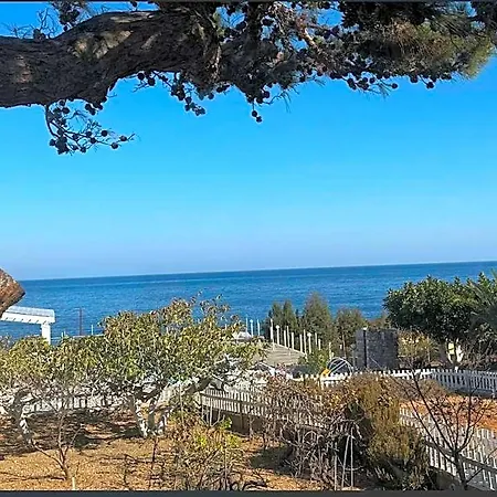 Chc Sound Of The Sea